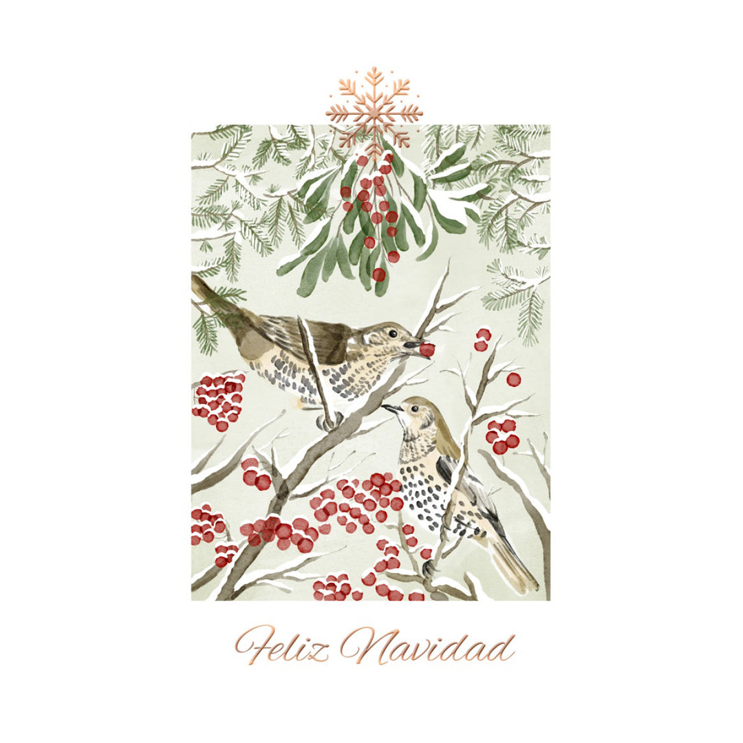Estuche de 10 tarjetas navideñas PAJAROS