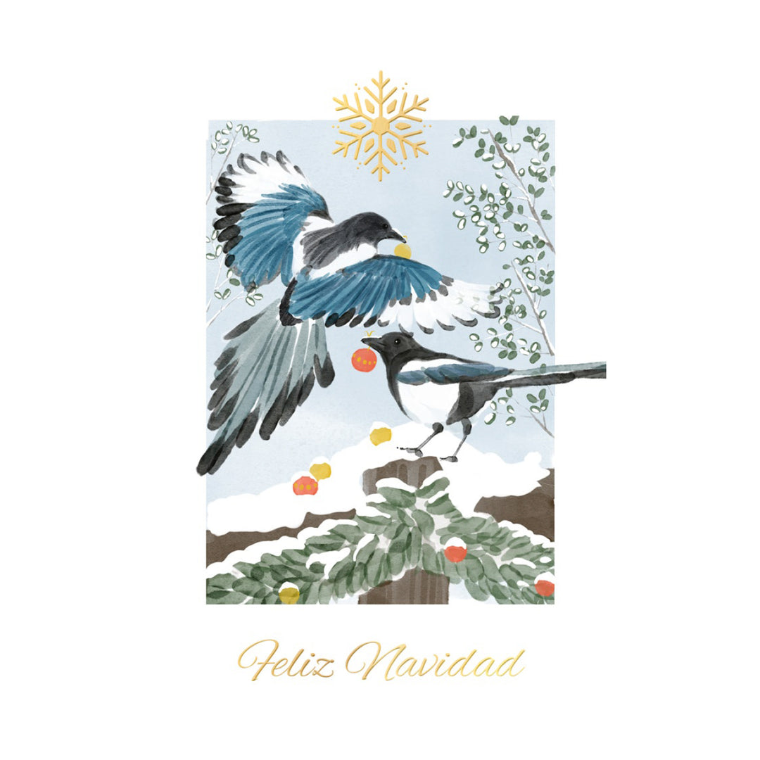 Estuche de 10 tarjetas navideñas PAJAROS