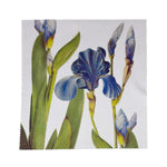 Cargar imagen en el visor de la galería, Gamuza "Lirio"