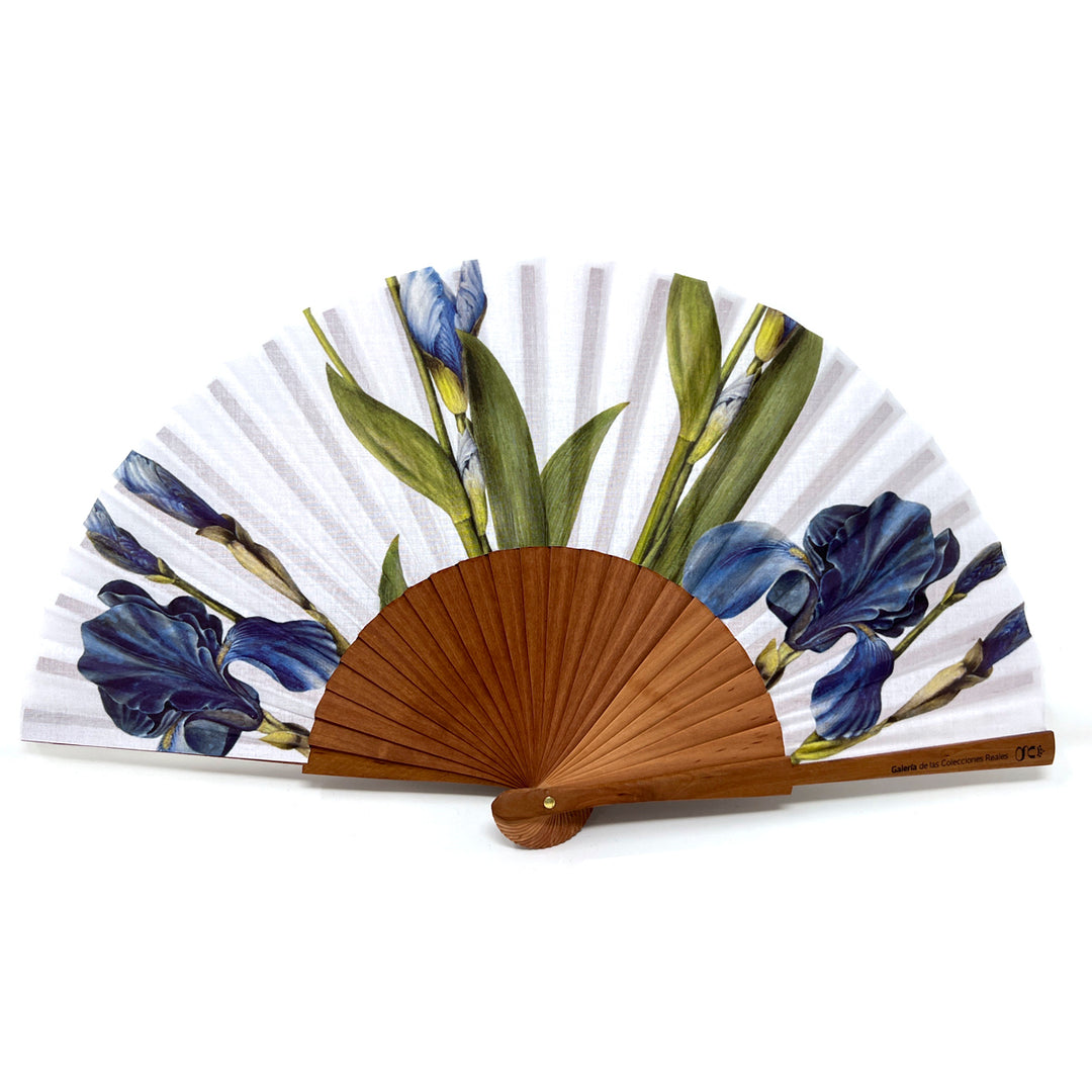 "Lily" fan