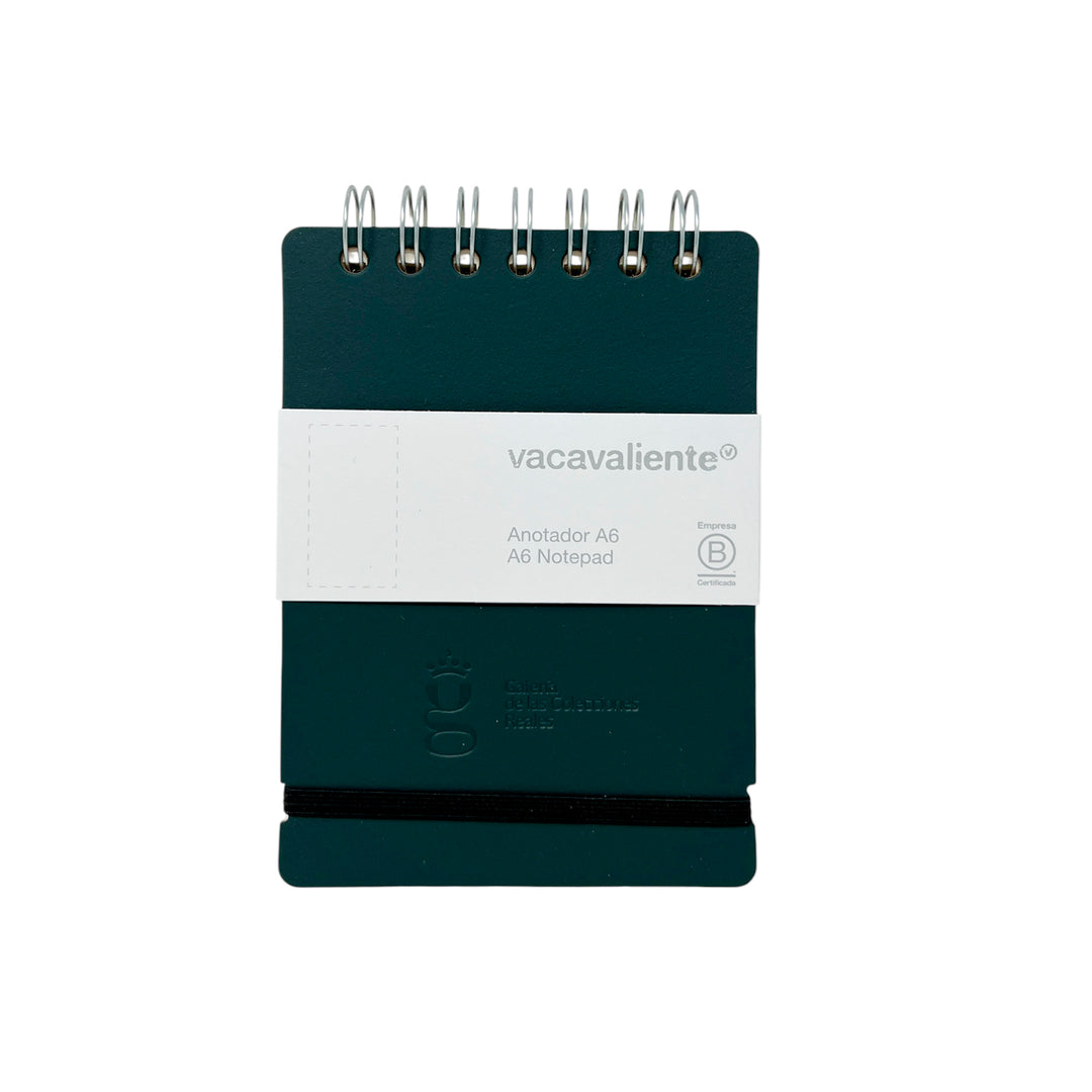 Striped green notebook