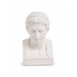 Cargar imagen en el visor de la galería, BUSTO HERCULES REAL ACADEMIA
