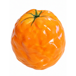 Load image into Gallery viewer, Artisan bitter orange